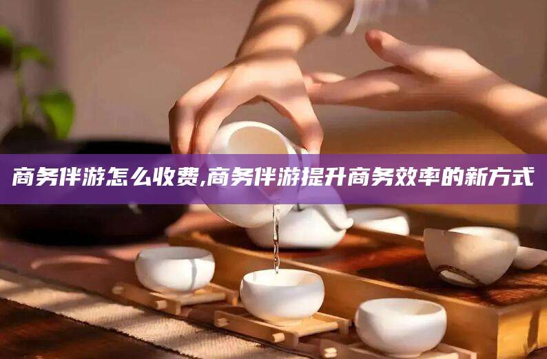 日照商务伴游怎么收费,商务伴游提升商务效率的新方式